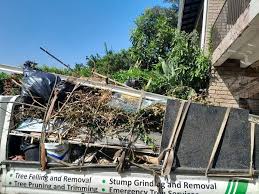 Best Shed Removal  in Granite Falls, MN